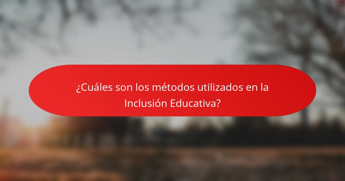 ¿Cuáles son los métodos utilizados en la Inclusión Educativa?