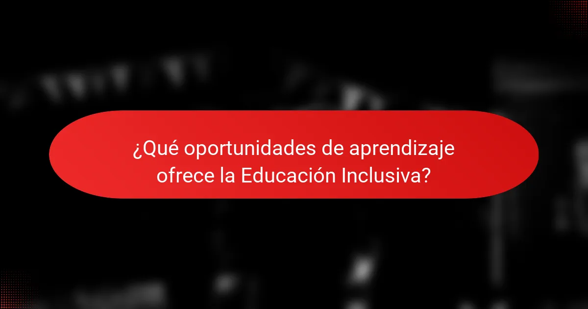 ¿Qué oportunidades de aprendizaje ofrece la Educación Inclusiva?